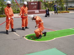 はしご登はん訓練の写真